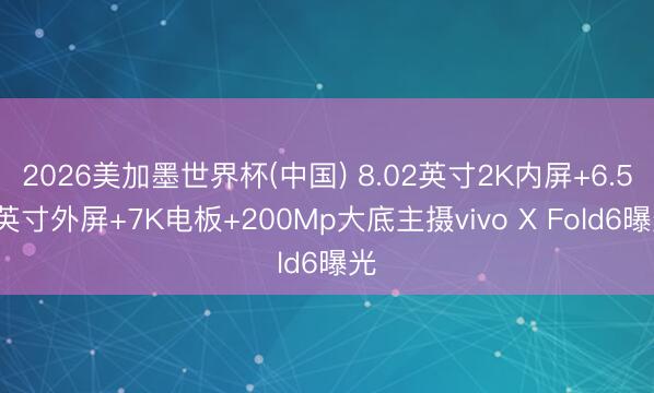 2026美加墨世界杯(中国) 8.02英寸2K内屏+6.51英寸外屏+7K电板+200Mp大底主摄vivo X Fold6曝光