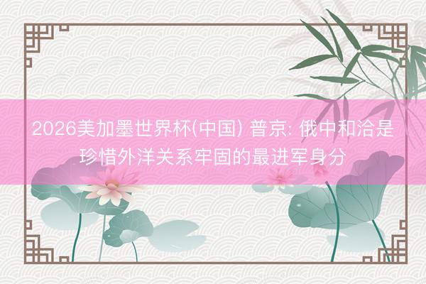 2026美加墨世界杯(中国) 普京: 俄中和洽是珍惜外洋关系牢固的最进军身分