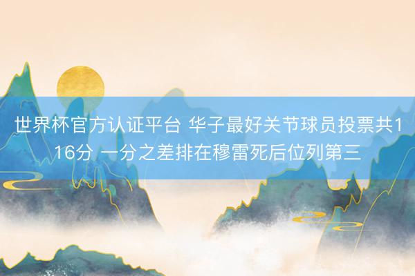 世界杯官方认证平台 华子最好关节球员投票共116分 一分之差排在穆雷死后位列第三