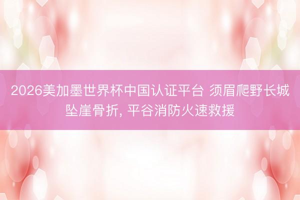 2026美加墨世界杯中国认证平台 须眉爬野长城坠崖骨折， 平谷消防火速救援