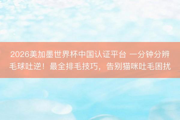 2026美加墨世界杯中国认证平台 一分钟分辨毛球吐逆！最全排毛技巧，告别猫咪吐毛困扰