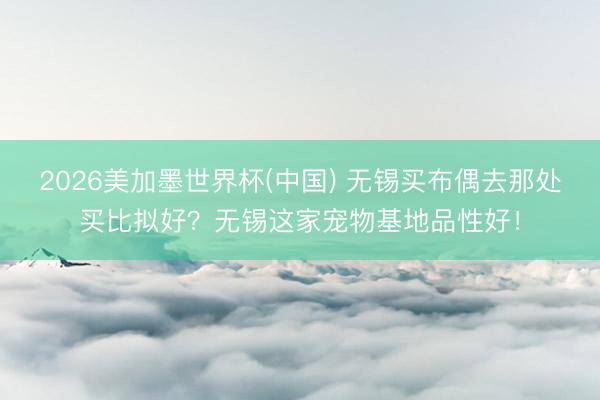 2026美加墨世界杯(中国) 无锡买布偶去那处买比拟好？无锡这家宠物基地品性好！