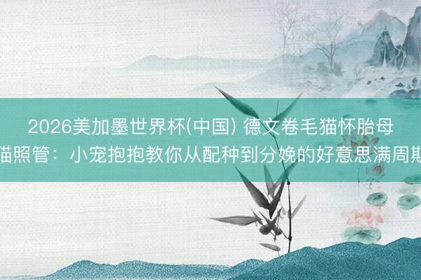 2026美加墨世界杯(中国) 德文卷毛猫怀胎母猫照管：小宠抱抱教你从配种到分娩的好意思满周期
