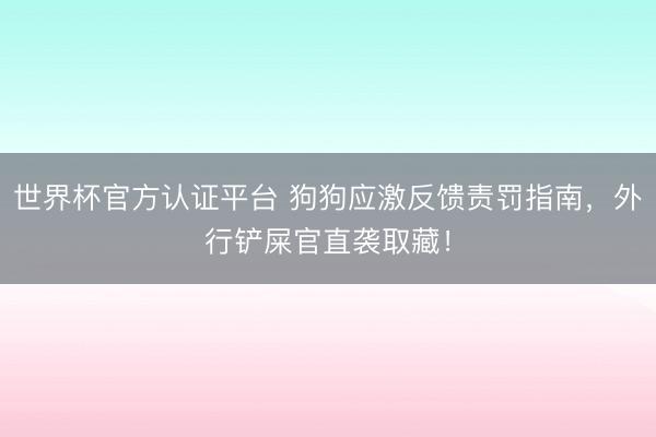 世界杯官方认证平台 狗狗应激反馈责罚指南，外行铲屎官直袭取藏！