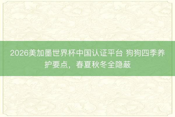 2026美加墨世界杯中国认证平台 狗狗四季养护要点，春夏秋冬全隐蔽