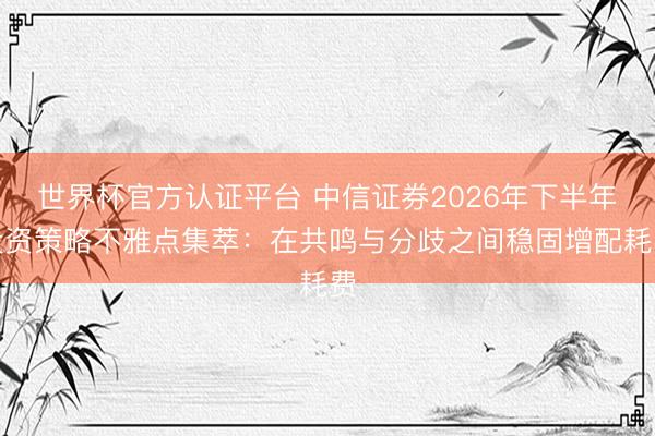 世界杯官方认证平台 中信证券2026年下半年投资策略不雅点集萃：在共鸣与分歧之间稳固增配耗费