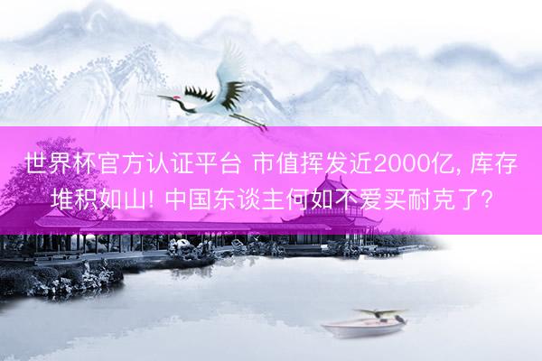 世界杯官方认证平台 市值挥发近2000亿， 库存堆积如山! 中国东谈主何如不爱买耐克了?