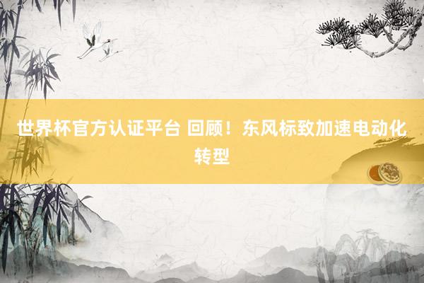 世界杯官方认证平台 回顾！东风标致加速电动化转型