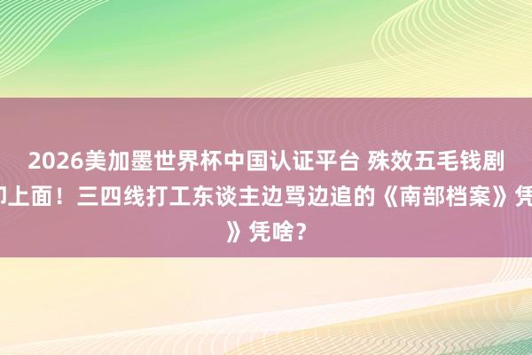 2026美加墨世界杯中国认证平台 殊效五毛钱剧情却上面！三四线打工东谈主边骂边追的《南部档案》凭啥？